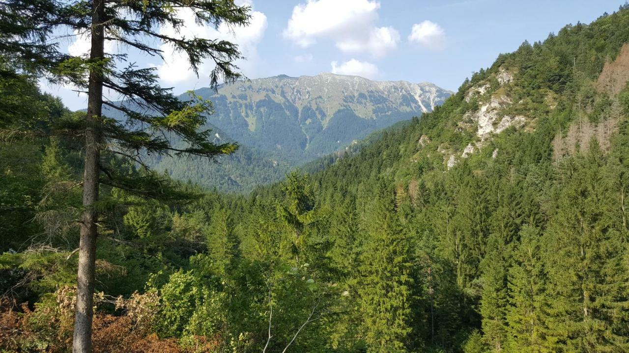 Rooms Mocilnik Begunje na Gorenjskem Exteriör bild